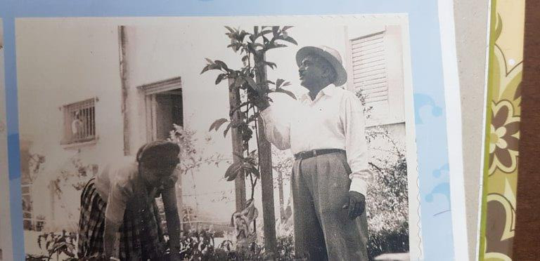 משפחת אריכא – מאלבום המשפחה