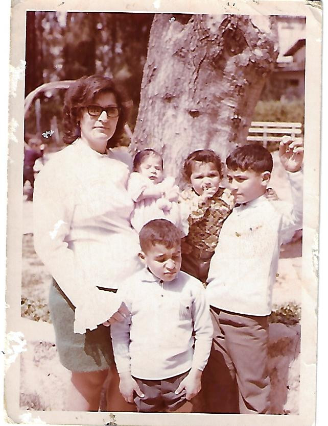 משפחת לוי – מאלבום המשפחה