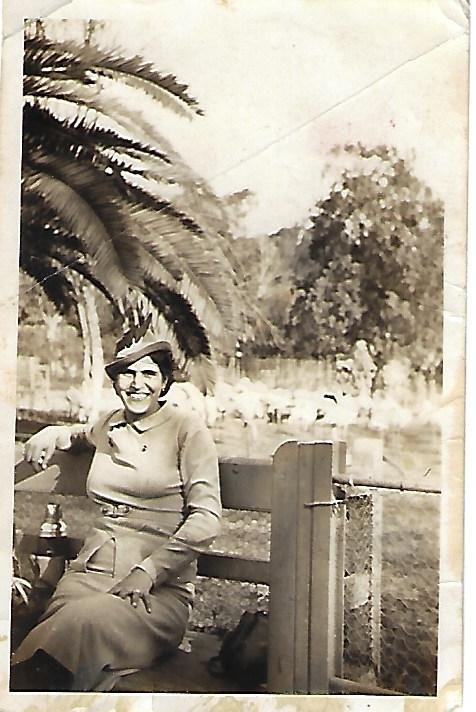 משפחת לוי – מאלבום המשפחה