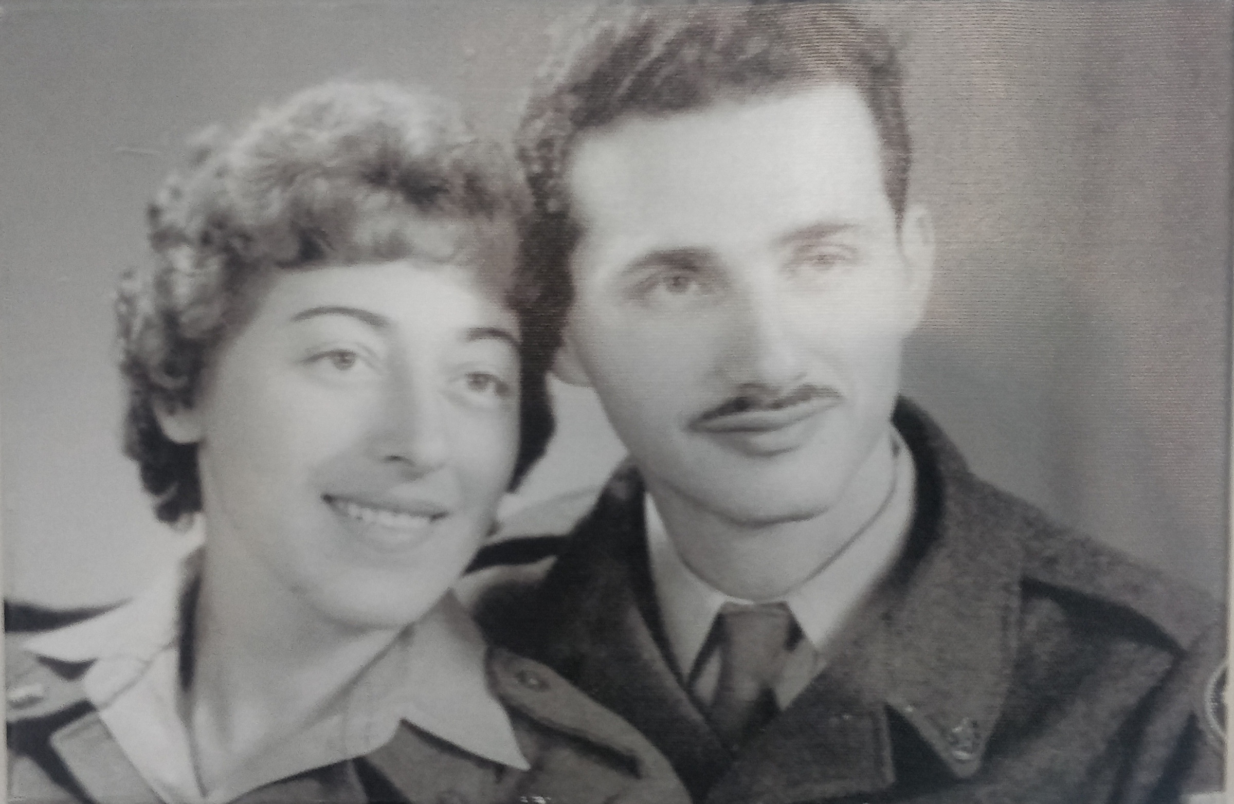 זאב בודד
