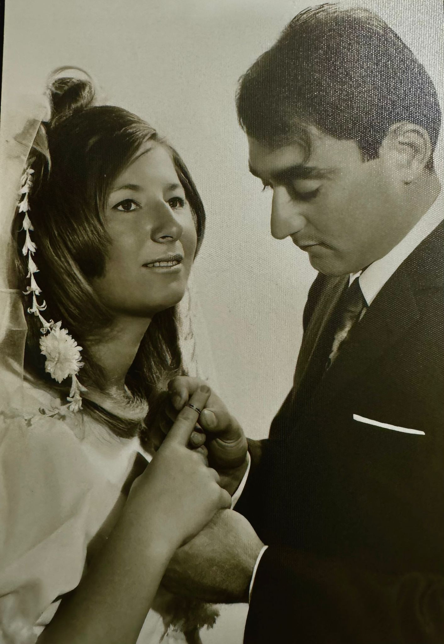 רוברט שפיצר – מאלבום המשפחה